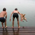 Nussbaumer Am Irrsee تيفغرابن