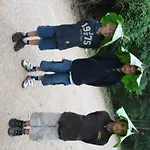 Nussbaumer Am Irrsee
