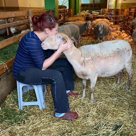 Nussbaumer Am Irrsee *