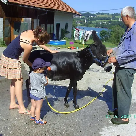 Nussbaumer Am Irrsee Vakantieboerderij Tiefgraben