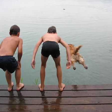 Nussbaumer Am Irrsee Tiefgraben