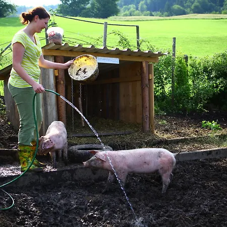 Agroturismo Nussbaumer Am Irrsee