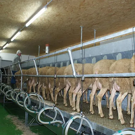 Nussbaumer Am Irrsee