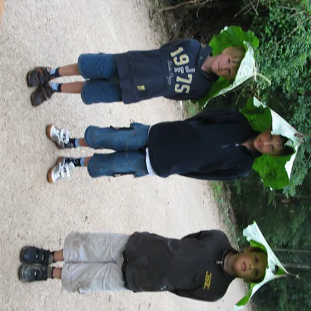 Nussbaumer Am Irrsee