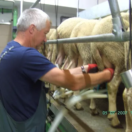 Farm stay Nussbaumer Am Irrsee Tiefgraben