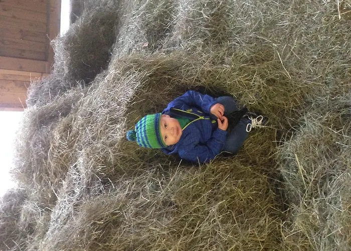 Nussbaumer Am Irrsee * Tiefgraben