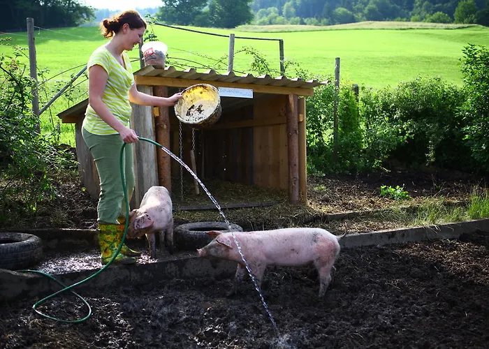 Séjour à la ferme Nussbaumer Am Irrsee
