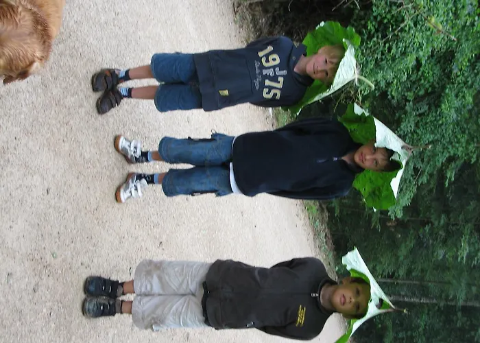 Nussbaumer Am Irrsee