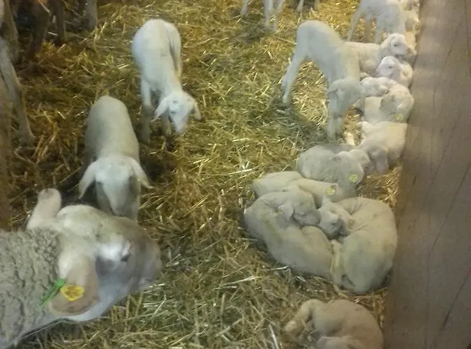 Séjour à la ferme Nussbaumer Am Irrsee Tiefgraben
