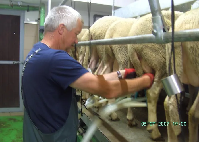 Séjour à la ferme Nussbaumer Am Irrsee Tiefgraben