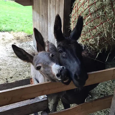 Фермерский дом Nussbaumer Am Irrsee