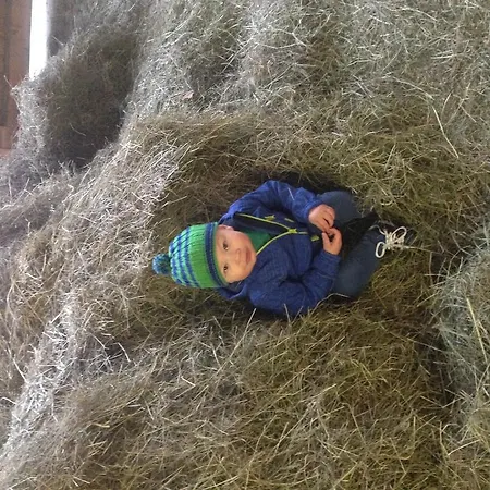 Nussbaumer Am Irrsee * Тифграбен