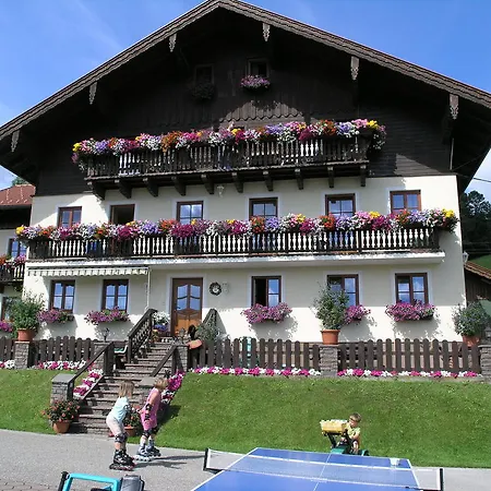 Nussbaumer Am Irrsee