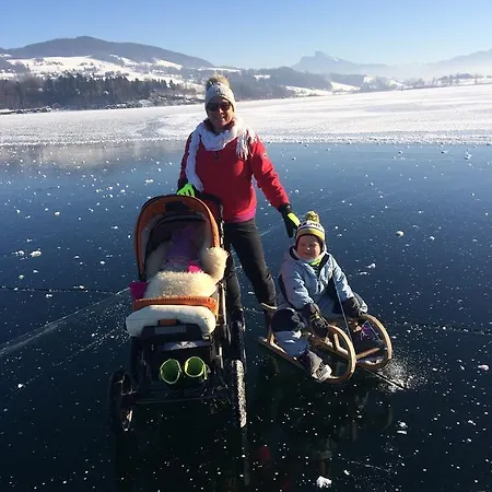 Nussbaumer Am Irrsee *