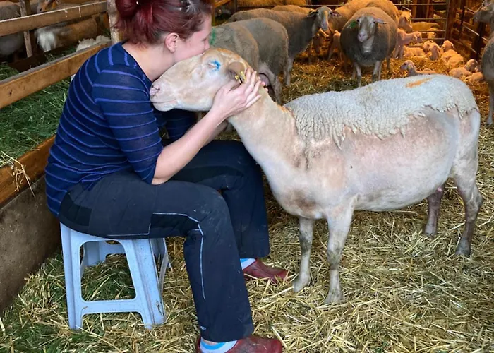 Nussbaumer Am Irrsee *