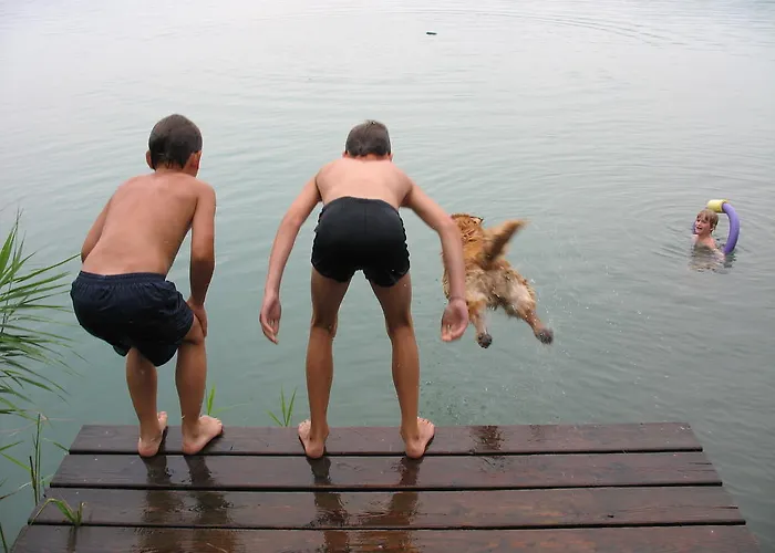 Nussbaumer Am Irrsee Tiefgraben